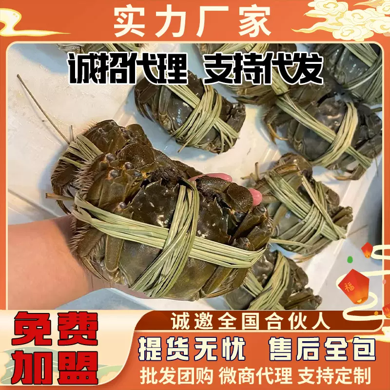 苏州原产地湖心养殖大闸蟹诚邀全国代理加盟企业集采社区团购代发