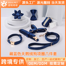 宠物项圈爆款宠物用品套装胸背天鹅绒可调节安全出行狗狗牵引绳