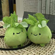Ȥζ����ˮ��ϵ��耳�Ȧ����㽶���ʙ�����ë�q��ż���а������