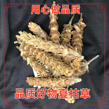 ��ș�����l���|�Ŀ���ݲ����鳲�؛Դ�����Ŀݲݲݱ�ș���в�ș