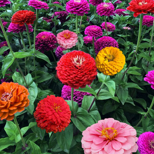 ���l���վշN�� ���ղݻ��� �_�����໨�����^�ݻ����ܻ��N���ղ�