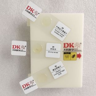 Daye Teaching Middle School Teaching Microscopic Slides Set 30 Pieces/set Bio Slices Mixed Pack