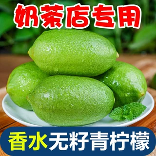 海南香水无籽青柠檬当应季新鲜水果摘一级皮薄小青柠奶茶店专用