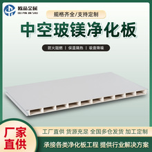 供应中空玻镁净化板洁净室工程板材隔墙吊顶防火玻镁彩钢净化板