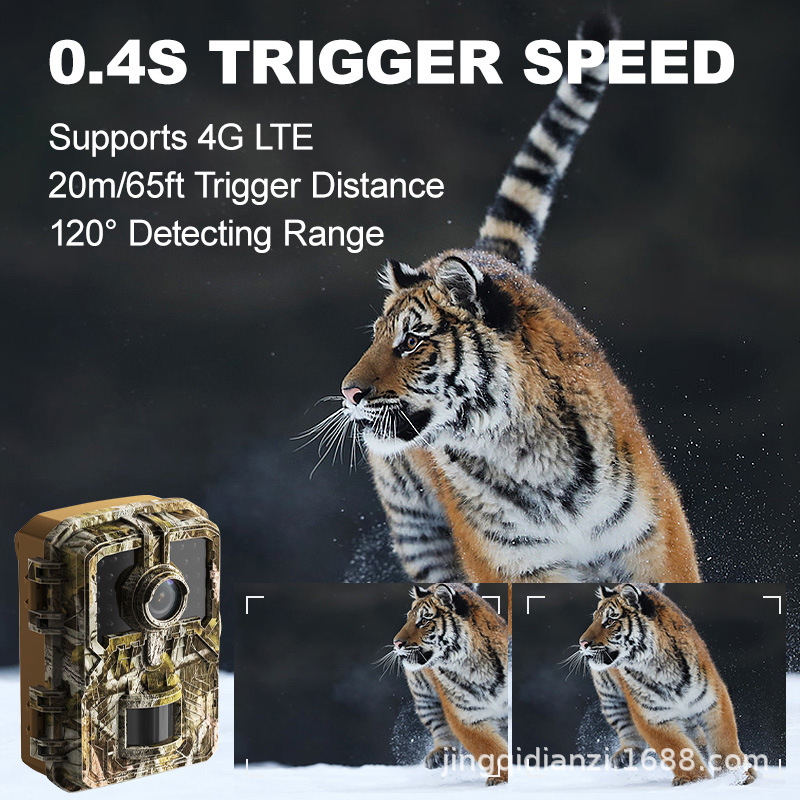 Cámara de animales infrarrojos transfronterizos cámara de caza HD al aire libre cámara de seguimiento de visión nocturna inducción cámara de caza