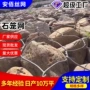 雷诺加筋护坡水利石笼网