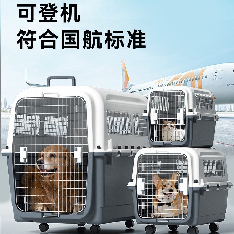 Caja de transporte de perros de mascotas, caja de transporte de perros, jaula de gato y perro, transporte de perros grandes, cabello dorado para China Airlines.