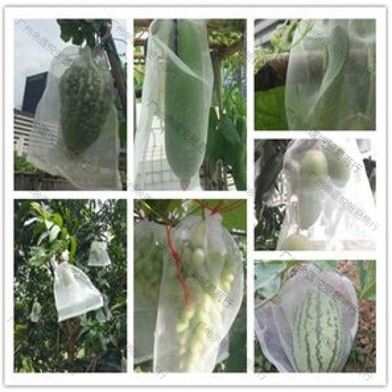 子网纱透光防虫过滤水果防虫加厚袋子束尼龙网袋果防虫网果园加密