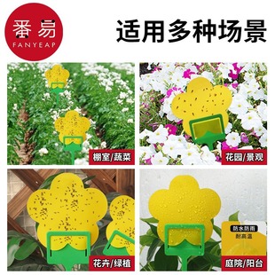 ���]/ճ�x��B1p601-�����ù��@���܈@�T�x���p���S��մС