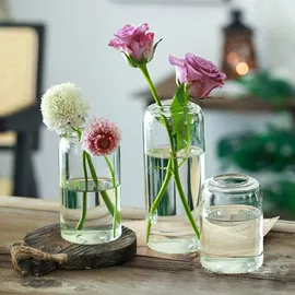 收纳密封罐;玻璃杯;水培植物瓶