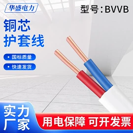 电气电缆;电力电缆;特种电缆