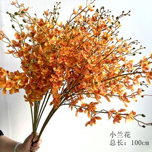 С�m�����滨ޥ�m�����m����Gֲ��c�b[������