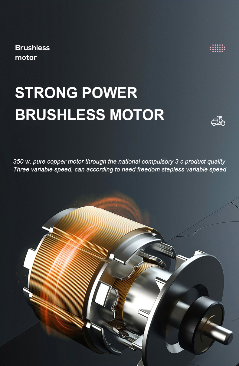 Custom Electric Bicycle, New National Standard, 48V 60V