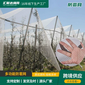 [防雹网 蔬菜大棚果树猕猴桃苹果树防白色冰雹防护网 防鸟网防冰雹]