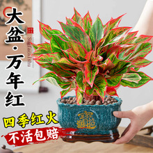 �f��t���Դ��輪���t������Q���҃Ⱥ��B�͏d��լ�Gֲ����������