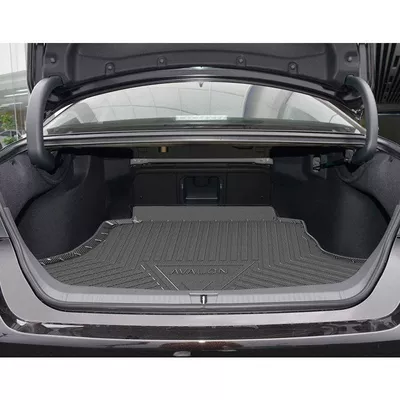 Suitable for Model 23 Asia: Trunk Mat