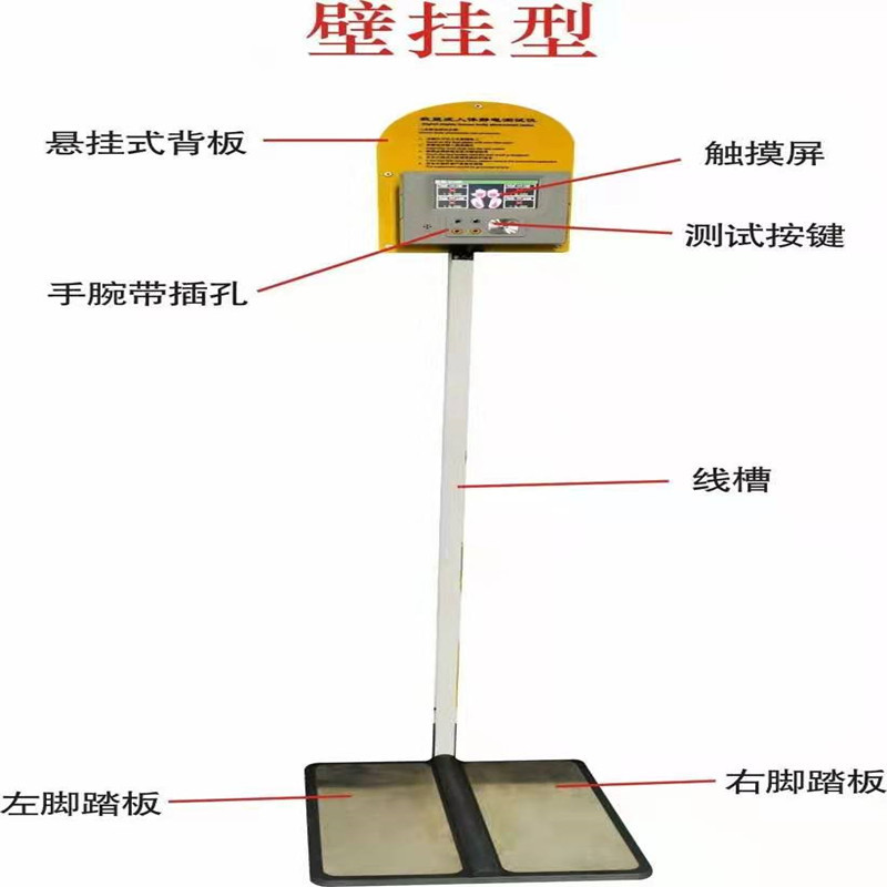 數顯款人體靜電測試儀 雙回路人體綜合測試儀壹件代發