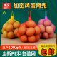 Egg Net Bag Mesh Bag Dense Nylon Mesh Bag Firewood Egg Packaging Bag Egg Small Net Bag Red Plastic Net Bag