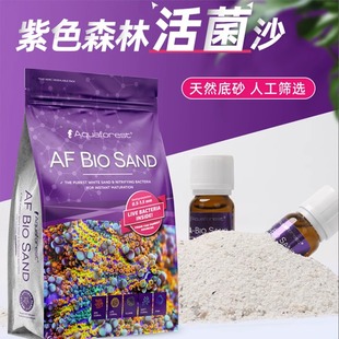 ��ɫɭ�ֻ��ɳ��Ȼɳ�ӻ�ɳ���׵�ɰ��ˮ�쾰��ɳ��ɳ��ɳ��ɰ��