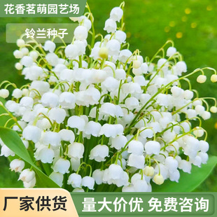 �ļ����ԷN�� ��m���� ��m��N������ֲ�ﮔ���_����ѿ�l؛