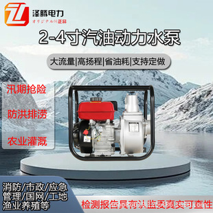 3�����͙Cˮ�� ���v�Ƿ� ZT80MQ ��ˮ��  ʡ���z�y����Ѵ��