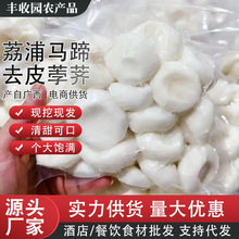 �V���������r�����R��ݩ�jȥƤݩ�j�߲��r���֭�R���r�����l���]