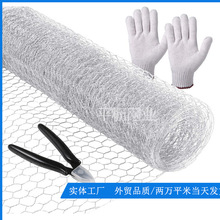 小孔六角网厂家 金属包漆六角网 铁丝网鸡网工艺项六角网平稳编织