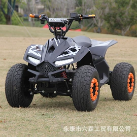 沙滩车;其他摩托车;其他电动车