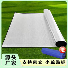 双面铝膜防潮垫家用午休垫便携露营帐篷地垫野餐垫加厚防潮带铝膜