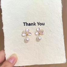 ��ϵ������ɫ���ͻ��������������Ư��������������С�ɶ�������