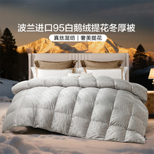 富安娜羽绒被波兰进口95白鹅绒保暖被芯春秋被褥冬季羽绒被冬厚被