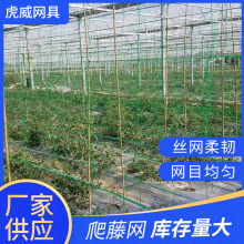 蔬菜爬藤天顶网 百香果攀爬网 栝蒌果园攀爬网  可定爬藤网