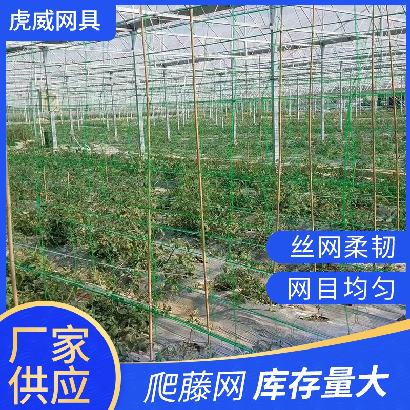 Овощная вьющаяся лоза Sky Top Чистая маракуйя сетка для лазания trichosanthus Trichosanthes корень Садовая альпинистская сетка может быть закреплена плетущаяся Виноградная сетка