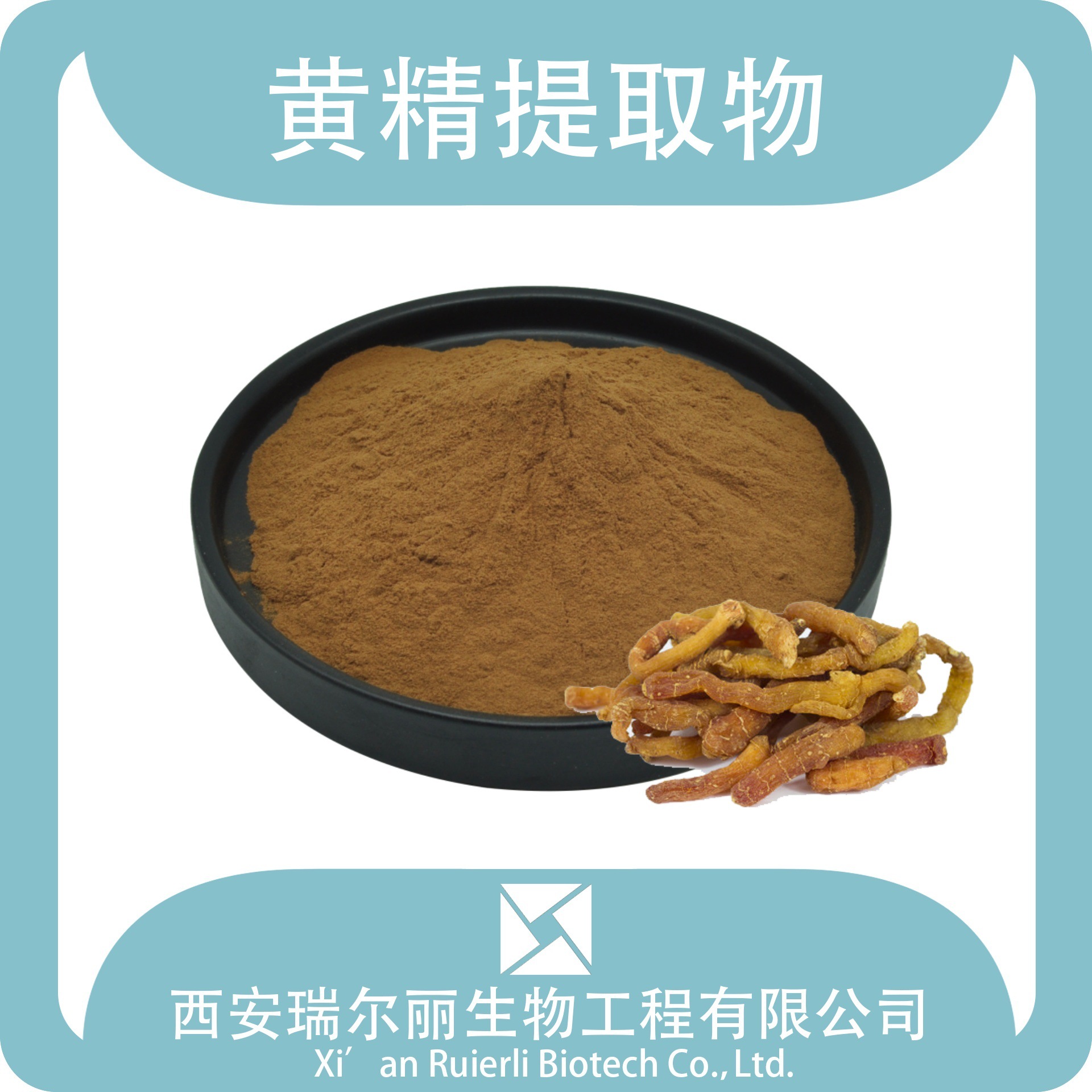 黄精提取物  水溶性黄精粉 黄精浸膏食品原料 瑞尔丽厂家现货