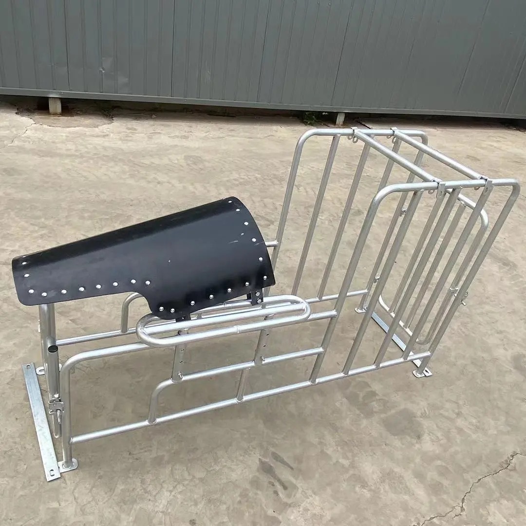 Rack de semilla de cerdas elevación rack de semilla de cerdo pie bajo rack de semilla de suelo galvanizado en caliente soporte de recolección de semilla