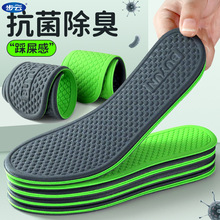 �ļ����_�ɴ�Ь�|�p������͸������������ճܛ�����m��ŮЬ�|