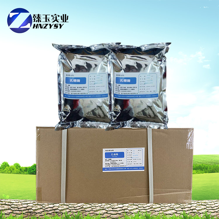 supply Lactase Food Additives Enzyme β-Galactosidase 10 thousand units