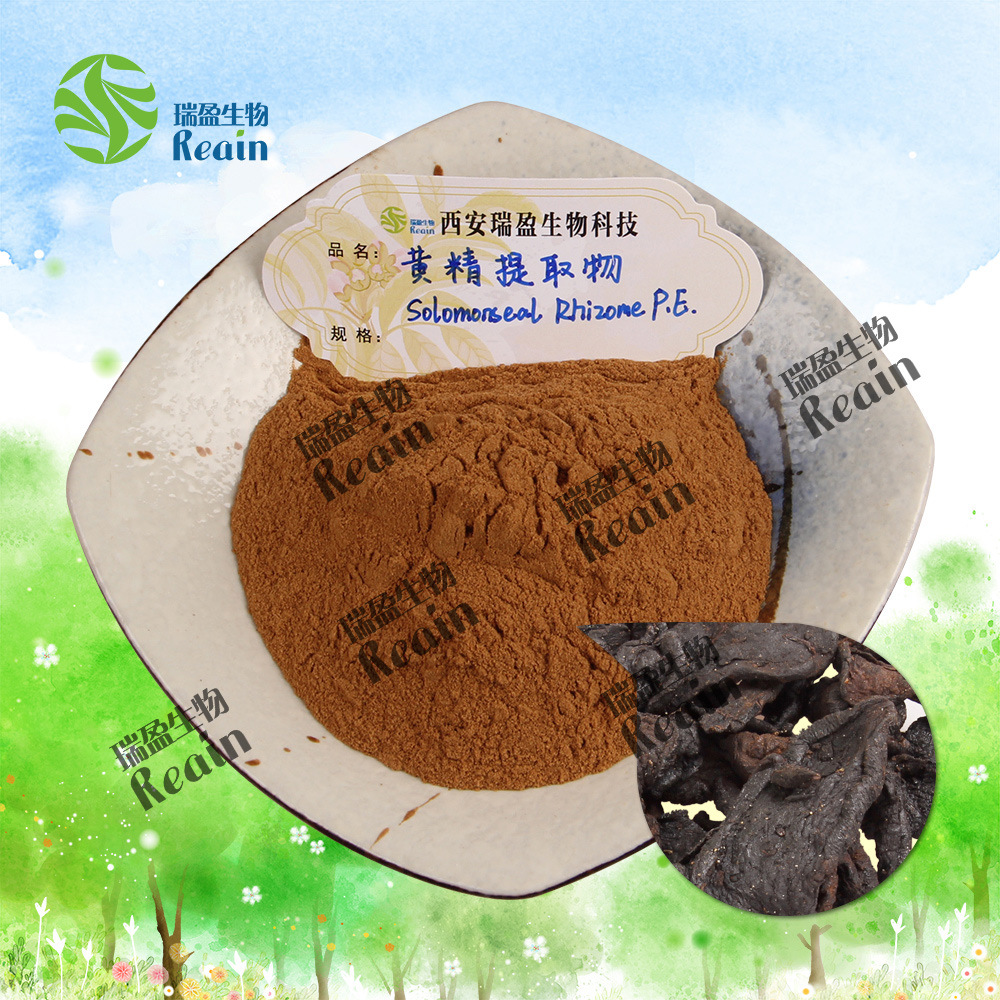 西安瑞盈黃精提取物10:1比例水溶黃精粉黃精萃取供應