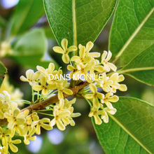 �����ԭ��Һ�沿ˬ�wˮ�o�w�����̝����yˮ��¶�S�����l����