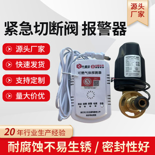 Emergency shut-off valve and alarm gas liquefied gas gas gas leakage gas tank safety valve gas shut-off valve