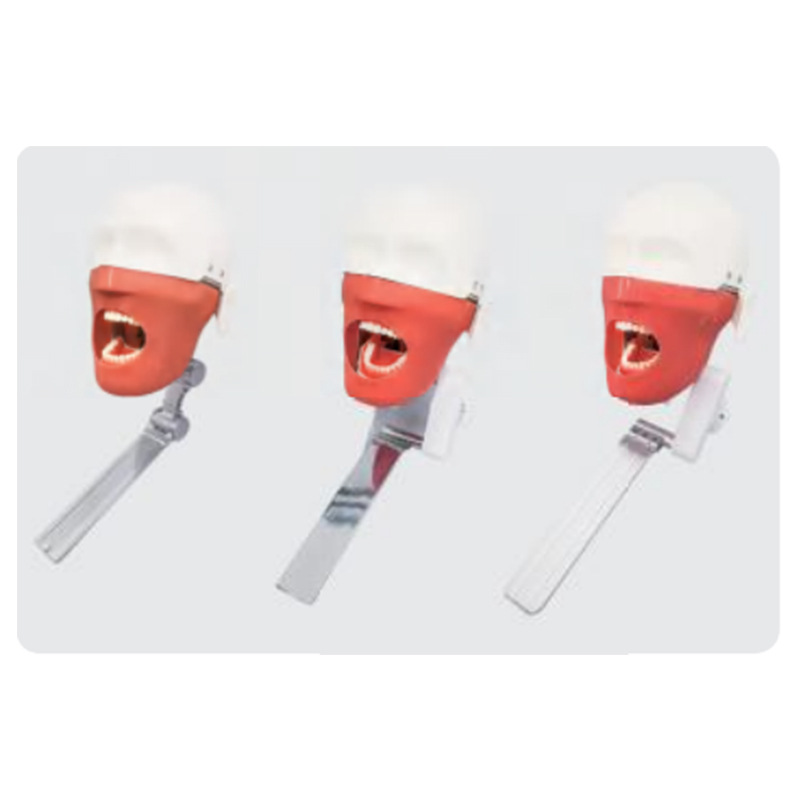 Modelo de simulación dental simple de modelo de práctica de enseñanza oral tipo reposacabezas modelo de cabeza simple de sujeción de mesa modelo de simulación de cabeza image 24
