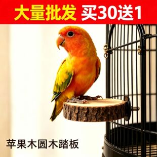 �W�^վ̨�W�^�O��ľվ̨�A��ľվ̨�W�^�B����W�^��ľվ���B��ǧ