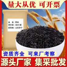 Ұ��50��/������׼��ô��M�ں������׏S�����l������ּZ��c