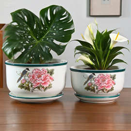 花盆陶瓷二件套简约家用带托盘大中号中国风吊兰多肉蝴蝶兰吊兰盆