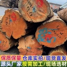 �t���ԭľ �Ҿ��҃��b�� ��� �@�ֹŽ� �\�Ž��I �tѩ��ľ ��ľ