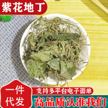 紫花地丁材新货犁头草地丁草材地丁地丁茶泡水