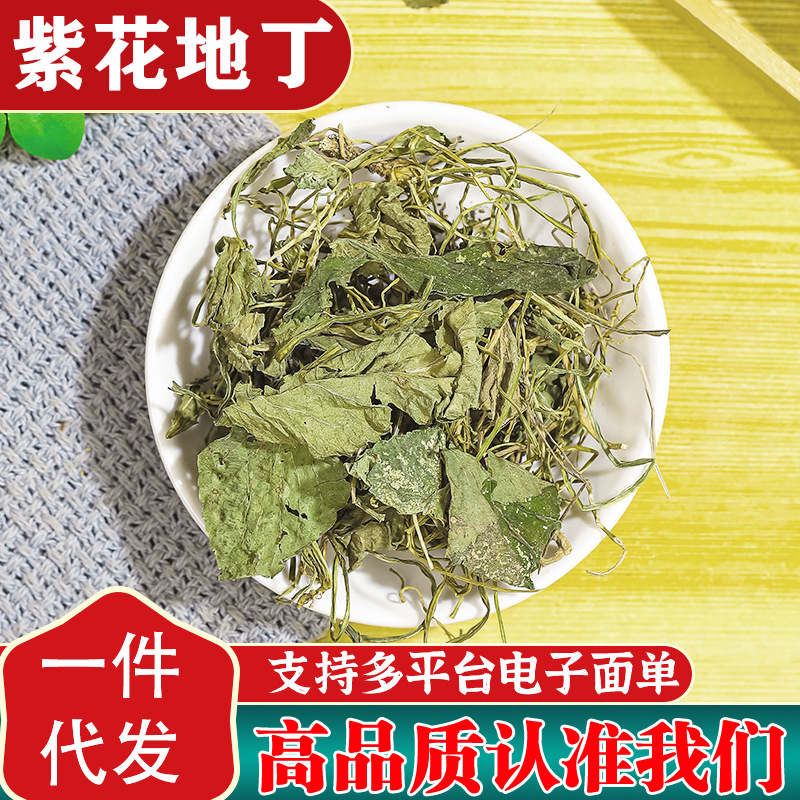 紫花地丁材新货犁头草地丁草材地丁地丁茶泡水