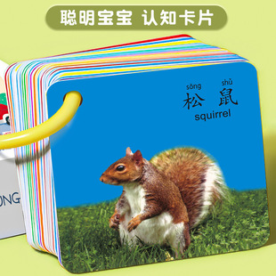 Animal card cognition early education Enlightenment book children's one-year-old baby educational toys baby literacy reading picture knowledge
