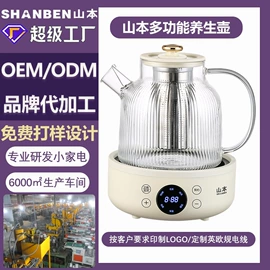 电煮锅;电火锅;养生壶