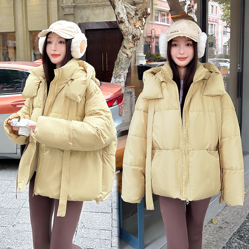Abrigo de algodón transfronterizo 2025, otoño y invierno, Europa y América, nueva chaqueta de algodón, chaqueta de algodón suelta, chaqueta de algodón suelta, chaqueta de algodón suelta, chaqueta de algodón suelta image 1